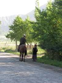 ���������